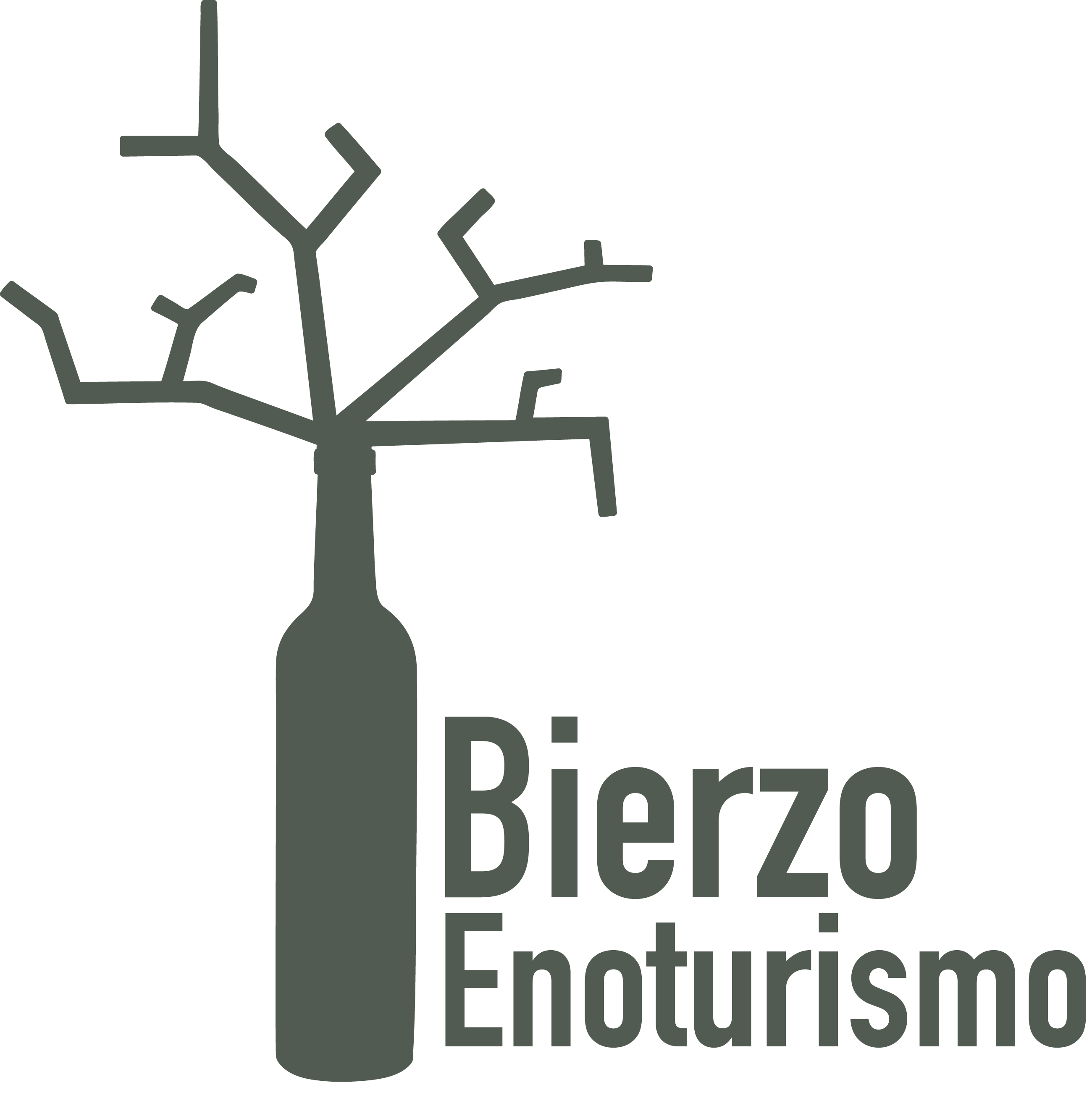 bierzo enoturismo